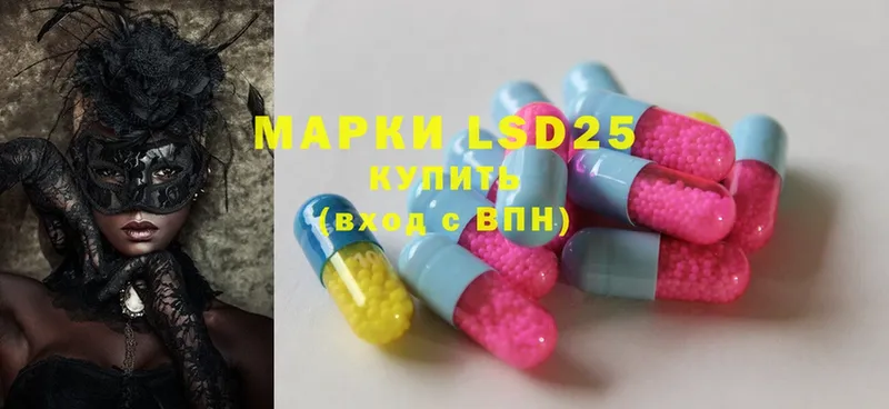 где купить наркоту  Каргополь  LSD-25 экстази ecstasy 